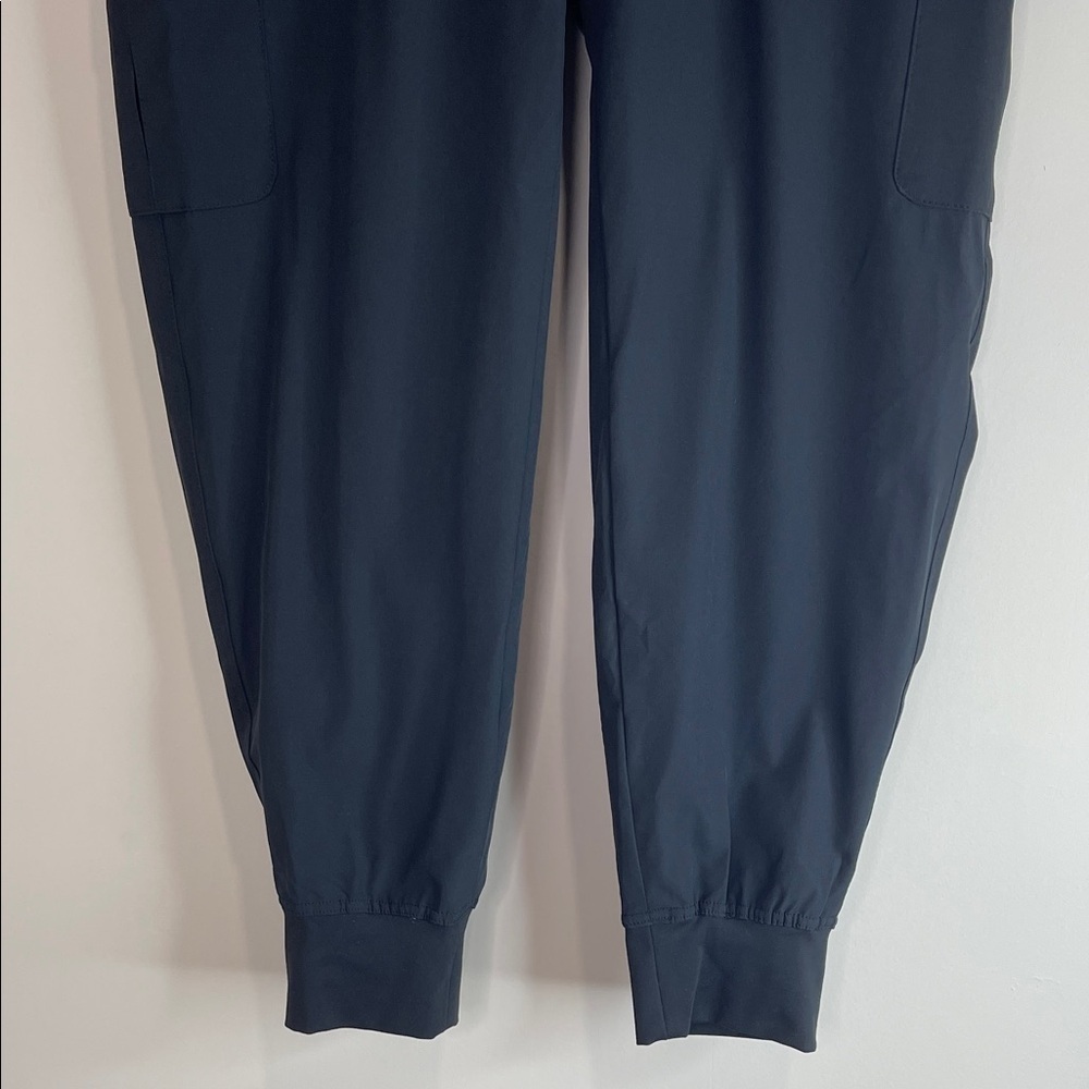 Free Country NWT Get Out There Hiking Jogger Pants Black Cargo Fleece Lined L - Picture 4 of 13
